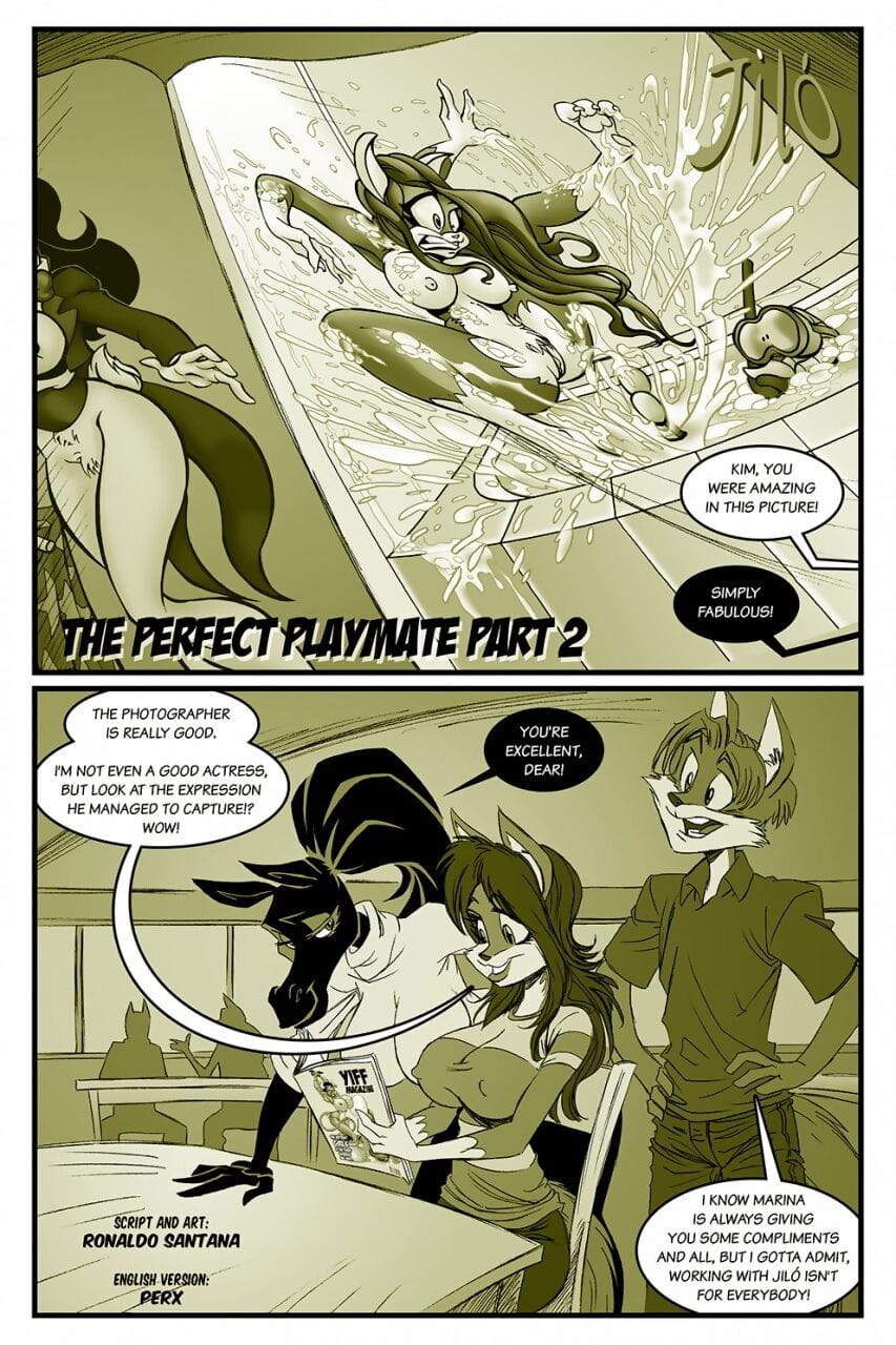 The Perfect Playmate #2 page 1