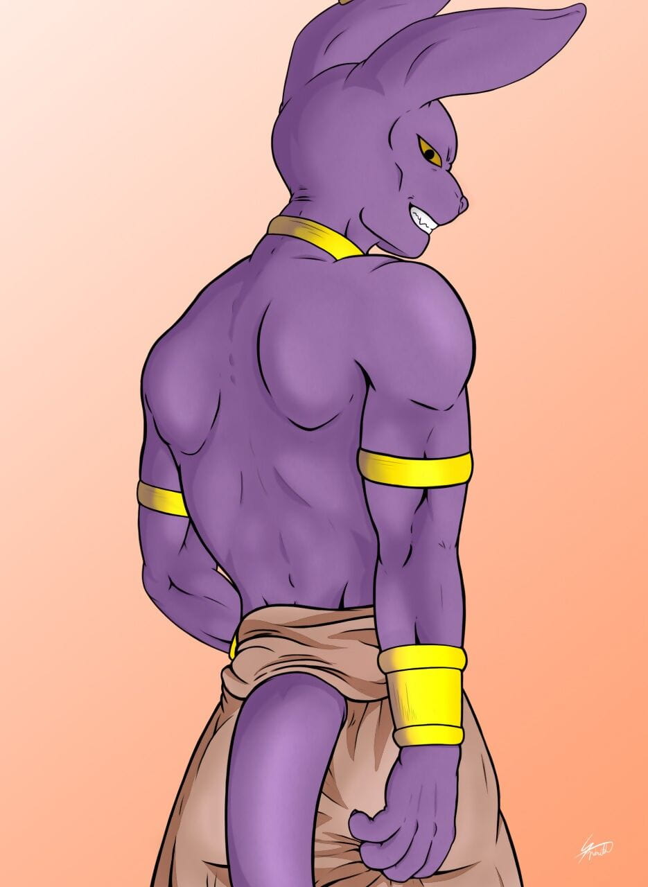 Beerus & Earthling Collection - Visiting Earth page 1