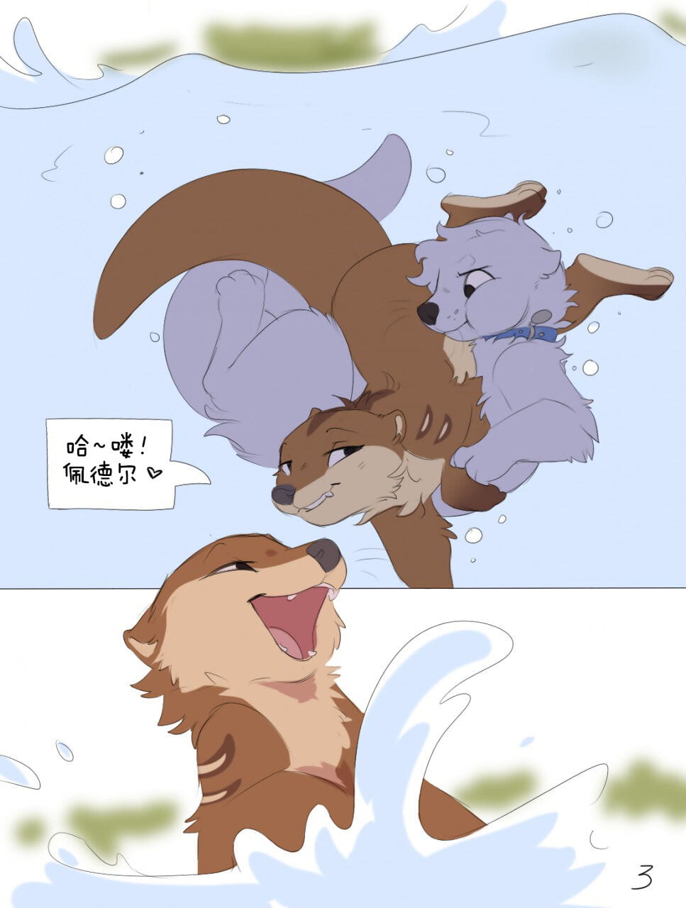 personale lontra spazio 水獭的私人空间 page 1