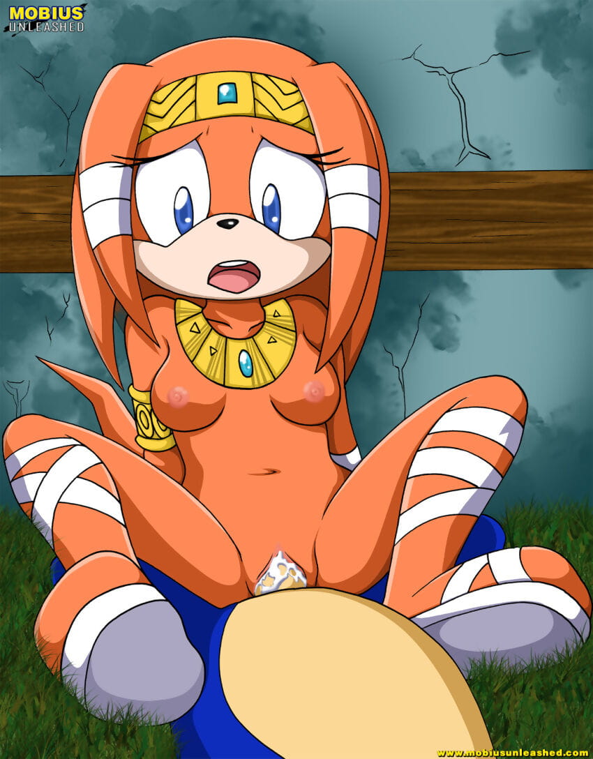 Mobius Unleashed: Tikal the Echidna - part 2 page 1